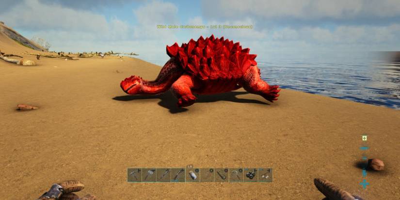 An unconscious Carbonemys